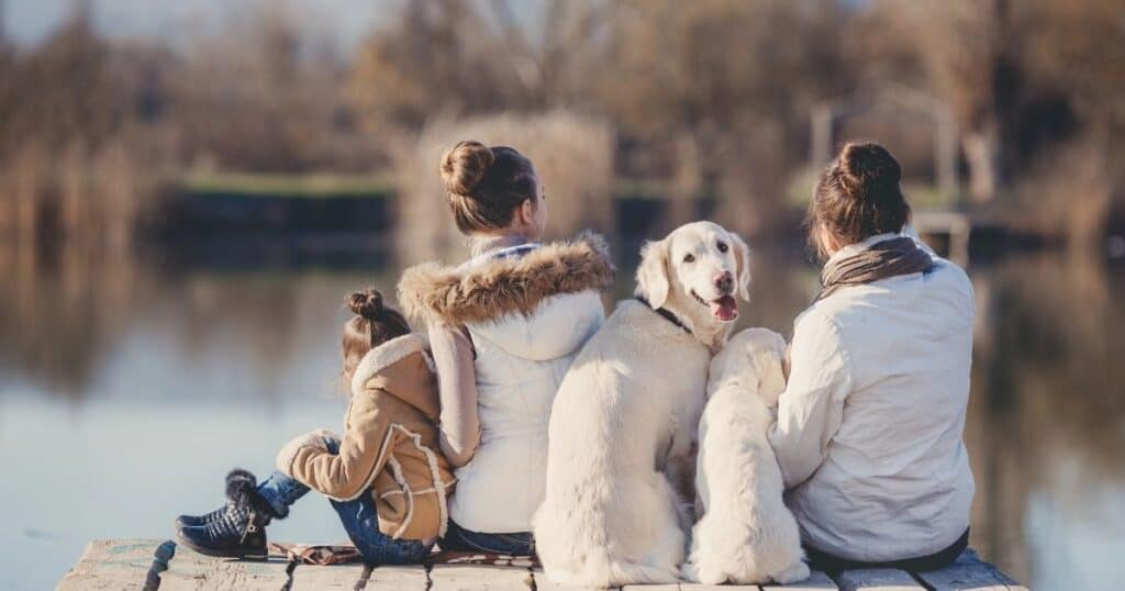 Two moms sit on sock with child and dogs