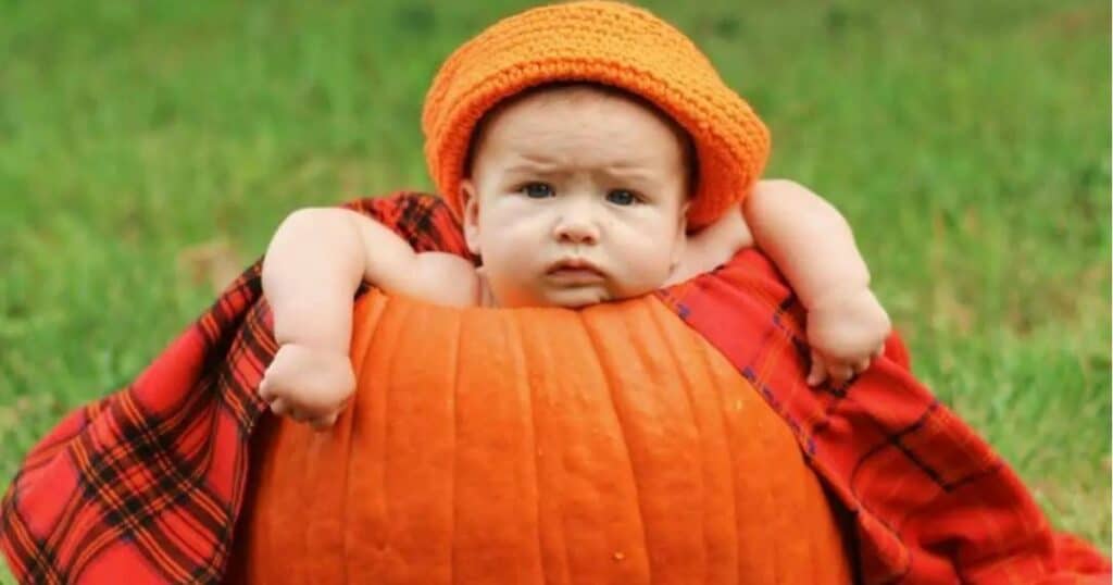 baby in pumpkin in halloween