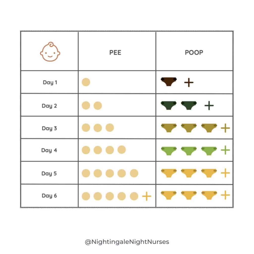 Chart depicting estimate of pees and poops during a newborn's first week.