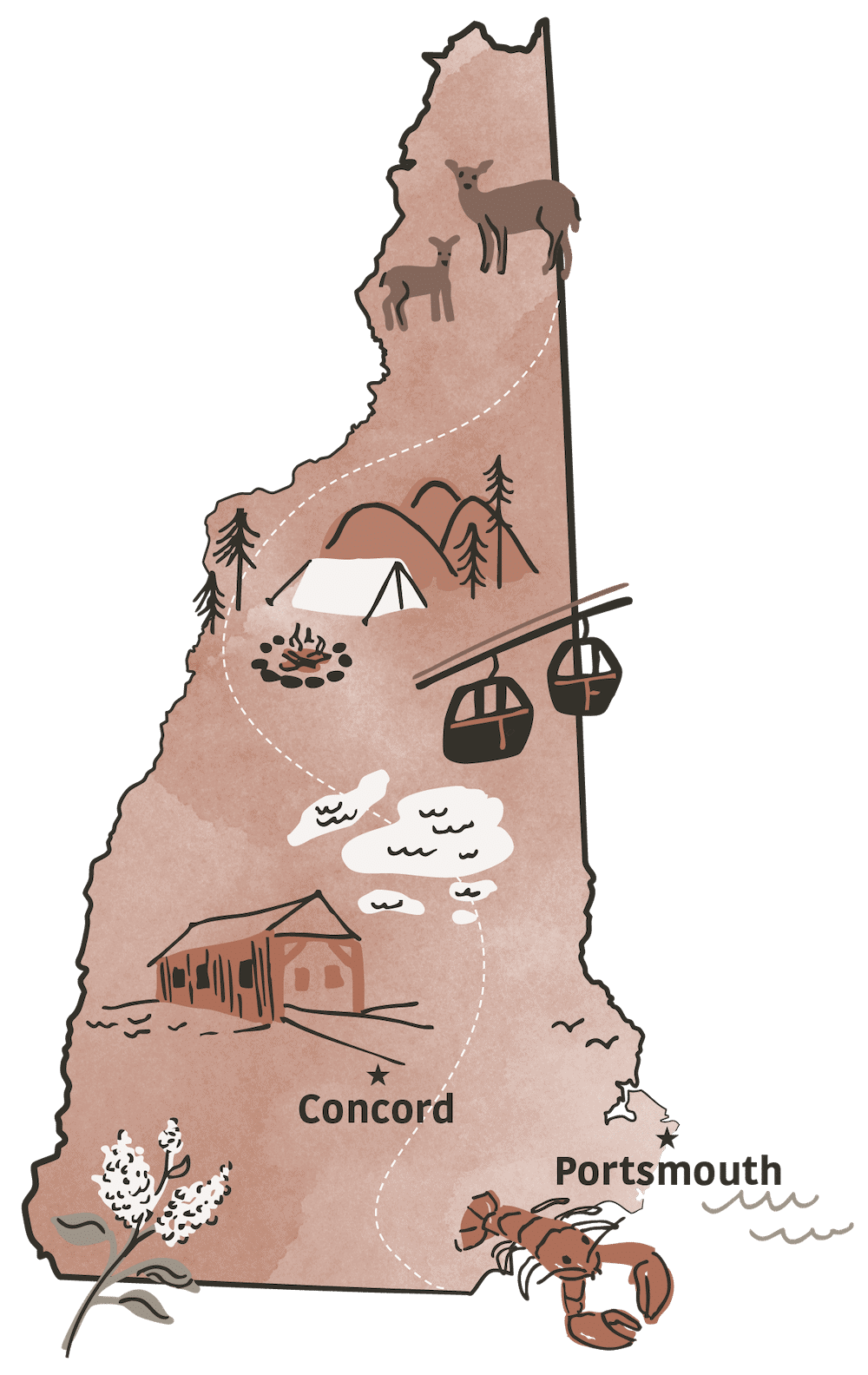 New Hampshire Newborn Care Map