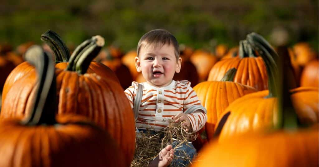 baby with thanksgiving pumpkins