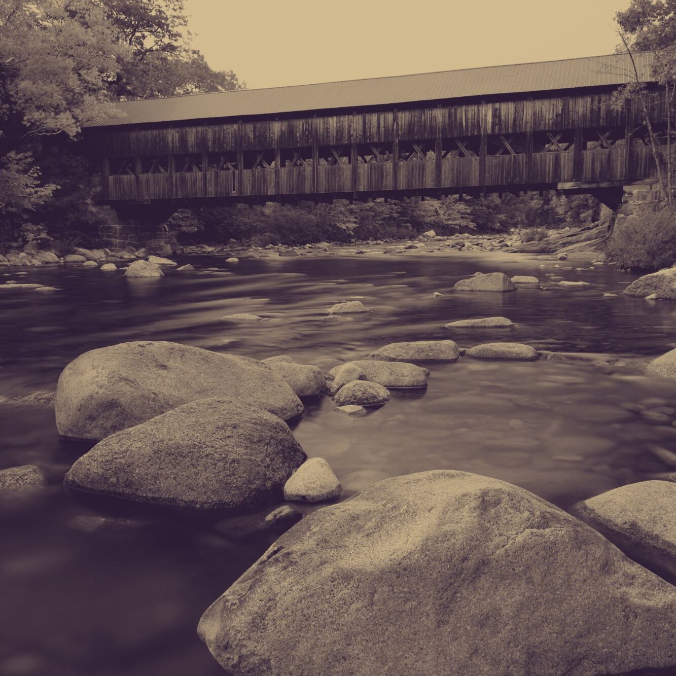 Vermont newborn care